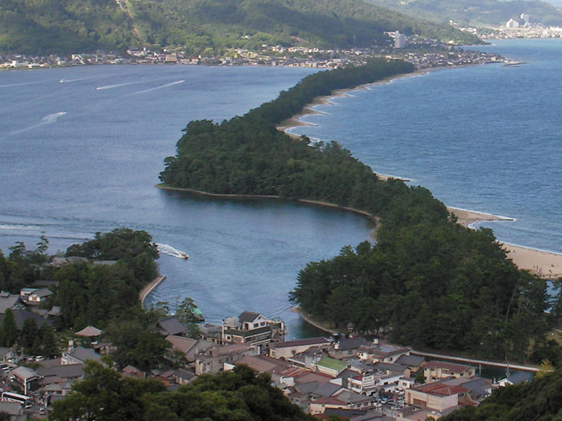 天橋立のセラミック炭、土壌改良剤活用事例