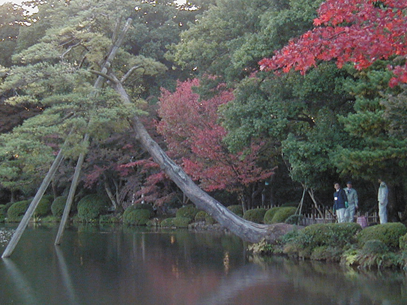 セラミック炭導入事例：兼六園