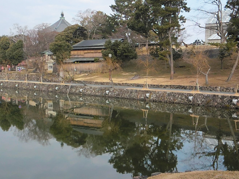 興福寺 猿沢の池のセラミック炭、土壌改良剤活用事例